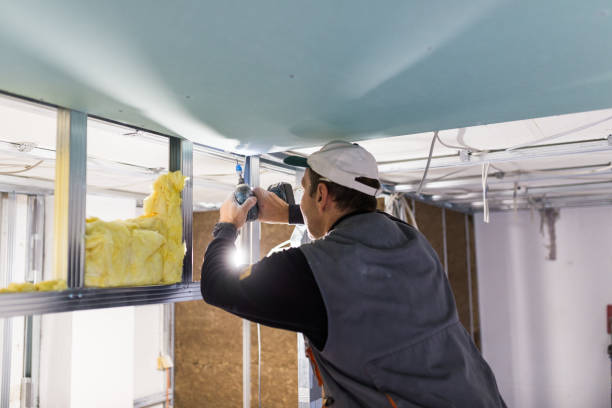 Best Commercial Insulation in Ash Flat, AR